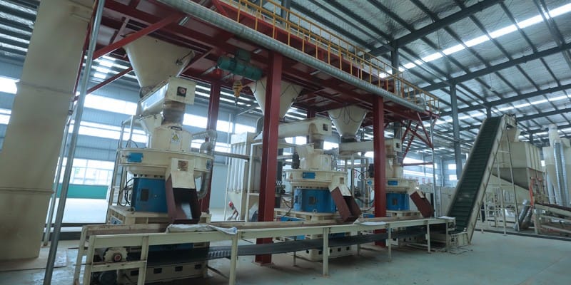 Annual output of 100,000 tons wood pellet line in Jiangsu 