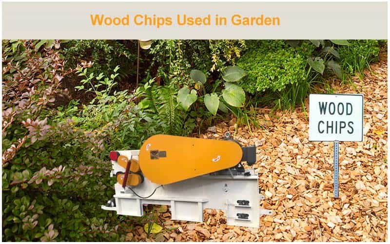 Why You Should Use Wood Chips in Garden