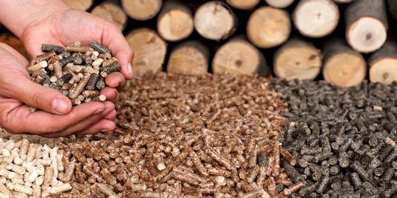 How to Identify High Quality Wood Pellets(图1)