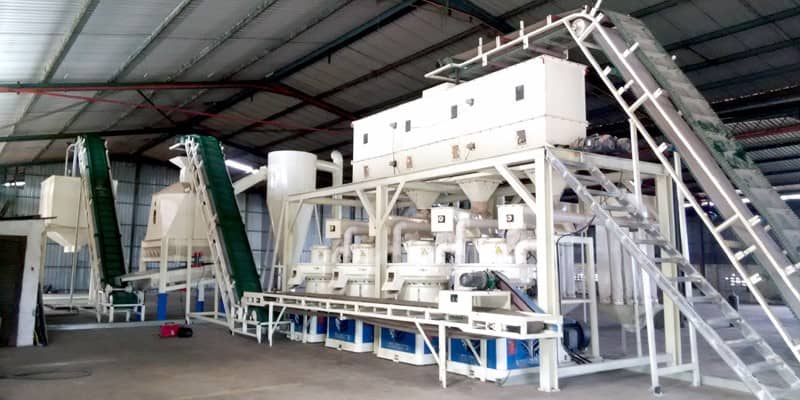 6 T/H wood pellet production line in Malaysia (图1)