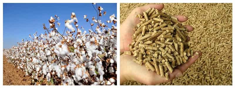 How to Make Cotton Stalk into Fuel Pellets(图1)